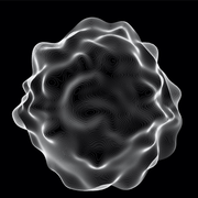 Igazságügyi Szakértői Vélemény 